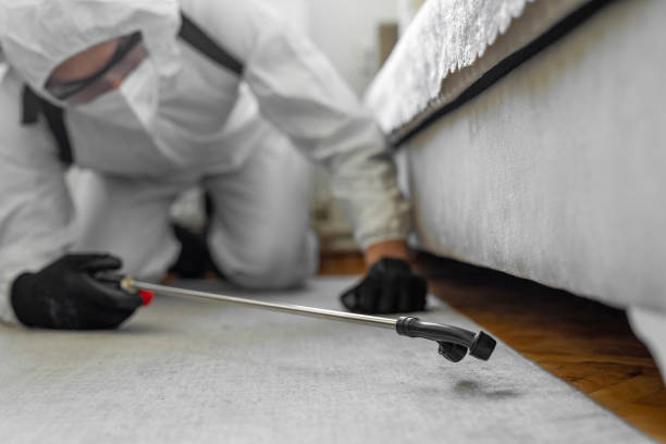Professional Bed Bug Control technician working in Highland Lakes, NJ
