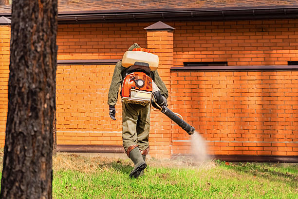 Trusted Fumigation Services service in Highland Lakes, NJ - Nex Pest Control
